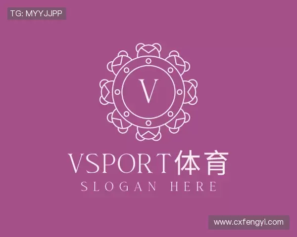 关于VSport